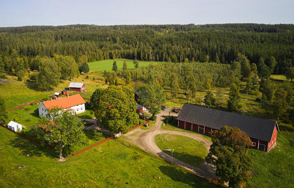 Skogsgård 600x.jpg